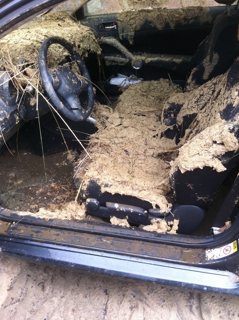 Illustration for article titled How to Identify a Formerly-Flooded Car